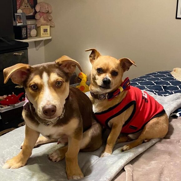 Meet your Posher, Carrie - Picture 5 of 13